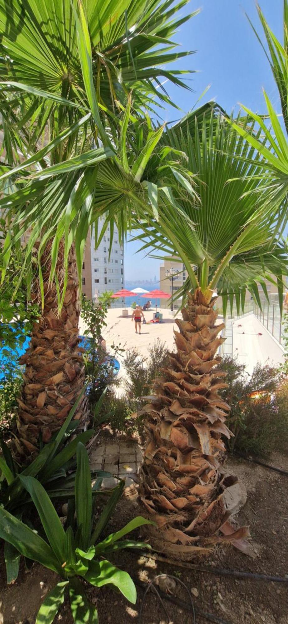 Nice Stay Trinisol 2 Benidorm Bagian luar foto