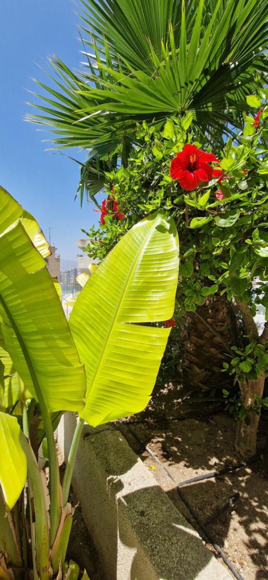 Nice Stay Trinisol 2 Benidorm Bagian luar foto